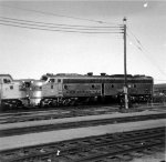 BN E8A 9932